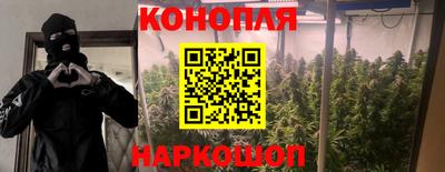твердый Моздок
