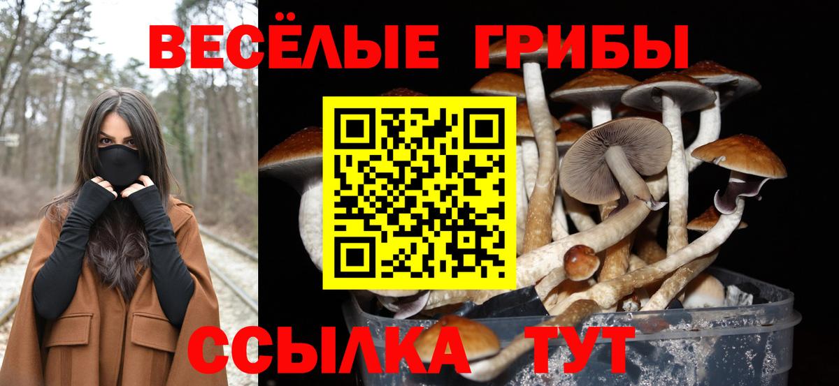 Галлюциногенные грибы ЛСД  Псилоцибиновые грибы мухоморы  наркошоп  Вход с VPN  Вязьма 